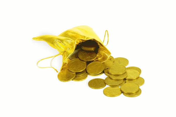 Money coins in golden bag — Stock Photo, Image