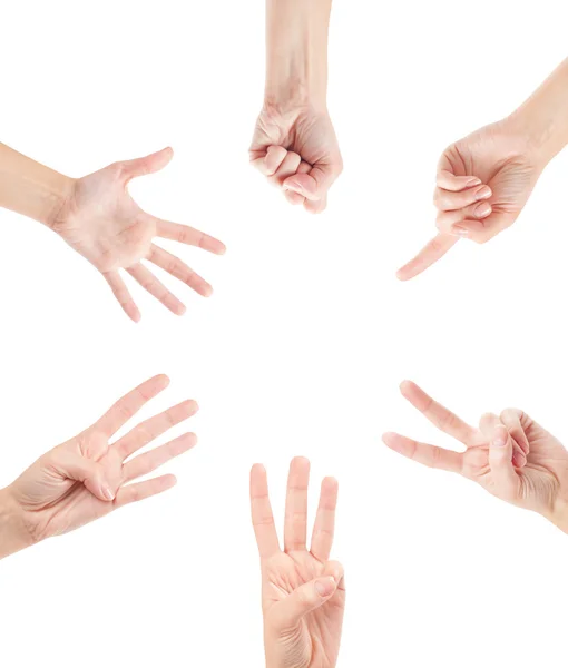 Counting woman hands — Stock Photo, Image