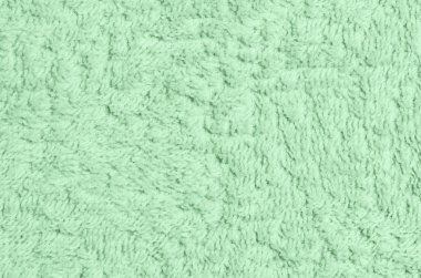 Yün koyun yakın çekim