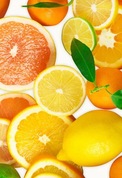Citrusové plody na bílém pozadí — Stock fotografie