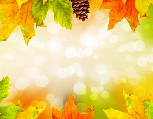 Осенние цветные опадающие листья — стоковое фото