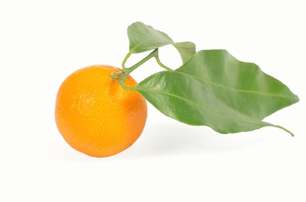 Tangerine med gröna blad isolerade — Stockfoto