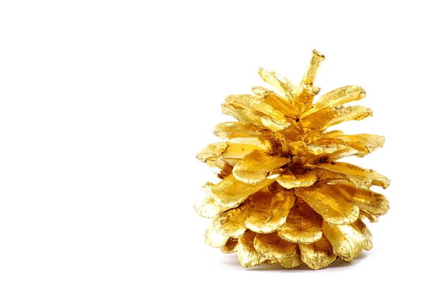 Golden pine cone isolated — Stock Photo, Image