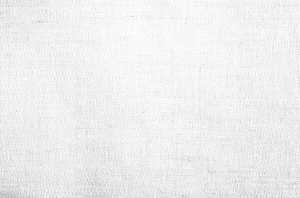 White canvas texture