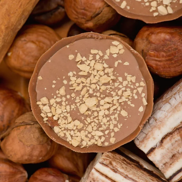 Coffee beans, cinnamon and nuts — Stock Photo, Image