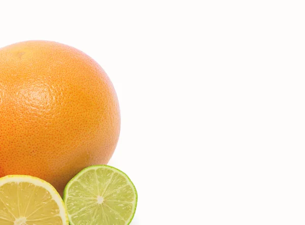 Citrus on white background — Stock Photo, Image