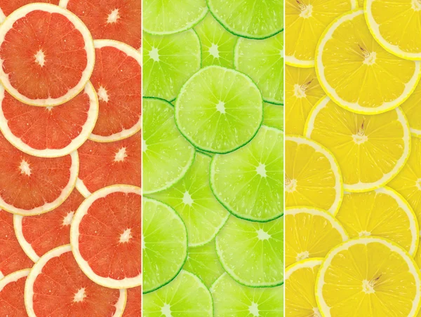 Background of citrus slices — Stock Photo, Image