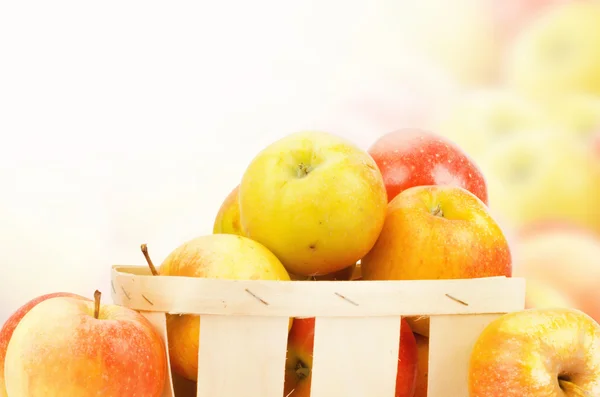 Pommes fraîches et colorées — Photo