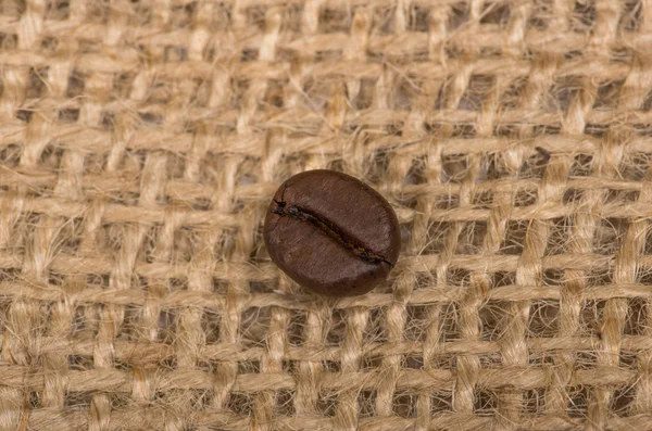 Kaffe bean på säck — Stockfoto