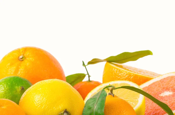 Plody citrusové na bílém pozadí — Stock fotografie