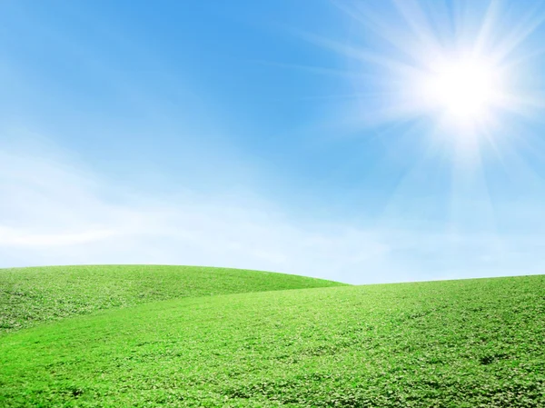 Prachtig zomers landschap — Stockfoto