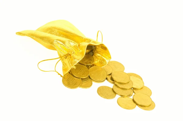 Νομίσματα χρήματα σε χρυσή τσάντα — Φωτογραφία Αρχείου
