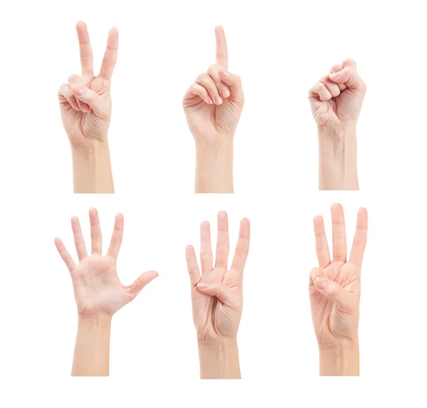 Počítání žena ruce — Stock fotografie