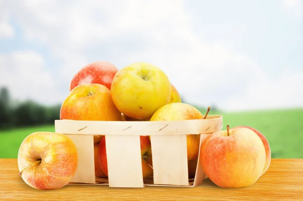 Pommes fraîches et colorées dans le panier — Photo