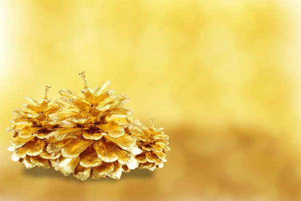 Golden pine cones isolated — Stock Photo, Image