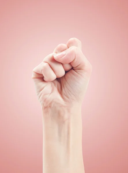 Gesto de la mano sobre rosa — Foto de Stock