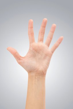 Open vrouw handAçık kadın eli