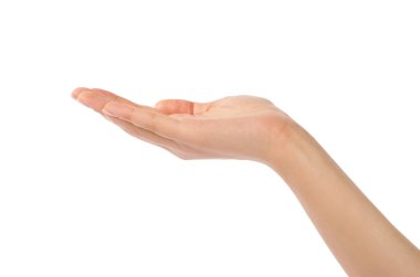 güzel kadın eli, palm kadar yakın çekim.