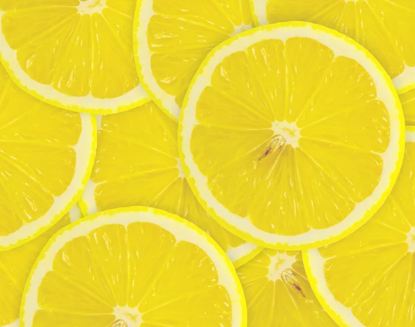 Abstract background with citrus-fruit of lemon slices — Stock Photo, Image