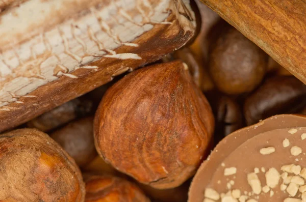 Coffee beans, cinnamon and nuts — Stock Photo, Image