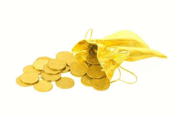 Geld munten in gouden zak — Stockfoto