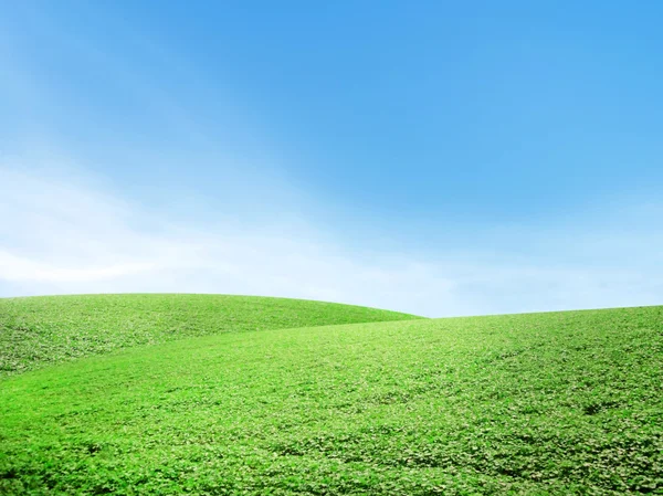 Bellissimo paesaggio estivo — Foto Stock