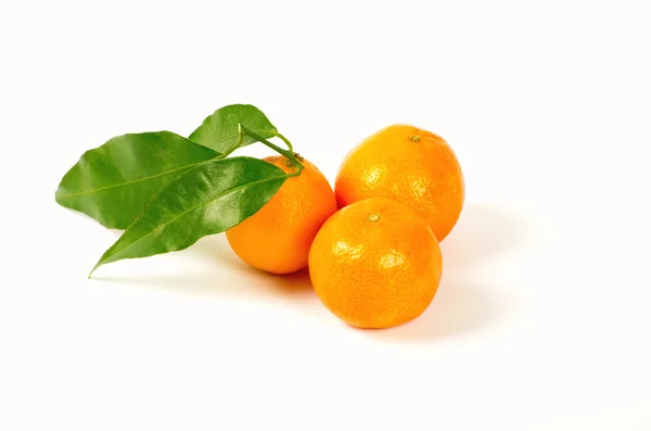 Tangerines with green leaves — Stock Photo, Image