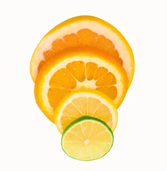 Citrus fruits on white — Stock Photo, Image