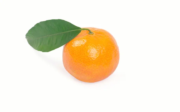 Isolato di mandarino — Foto Stock