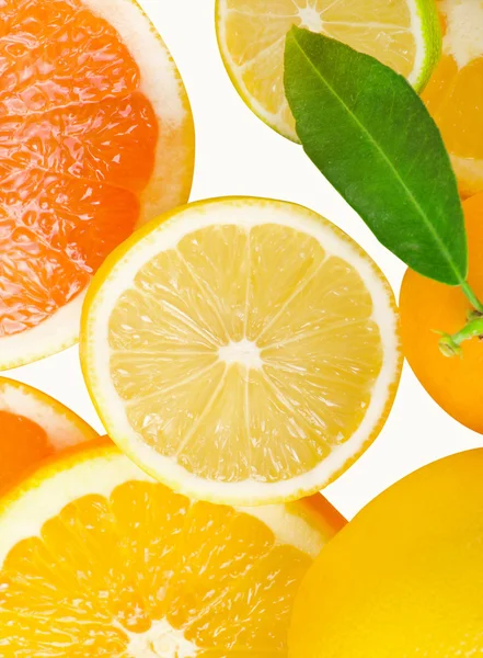 Mix van citrus segment — Stockfoto