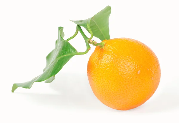 Tangerine med grönt blad — Stockfoto