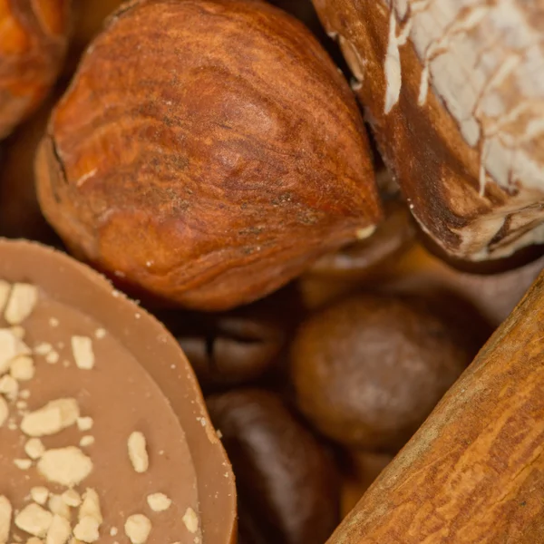 Coffee beans, cinnamon and nuts — Stock Photo, Image