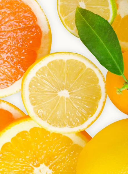 Mix of citrus slice — Stock Photo, Image