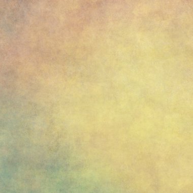 metin alanı olan doku