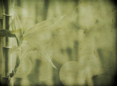 Grunge bambu arka plan