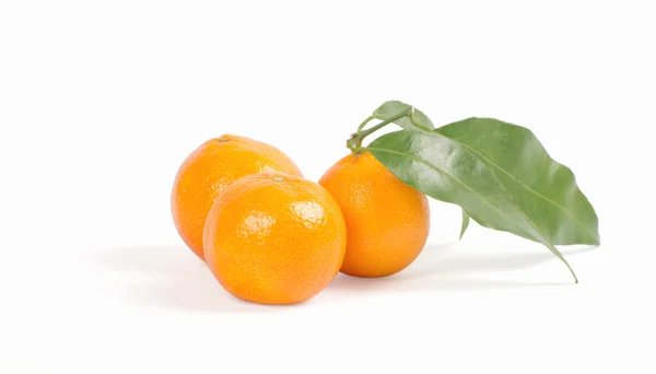 Tangerines with green leaves — Stock Photo, Image