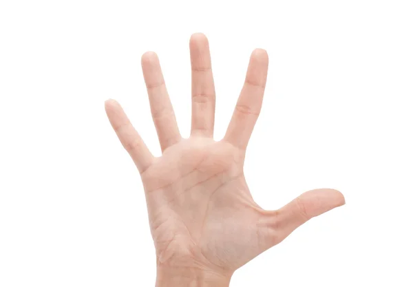 Open woman hand or number five — Stock Photo, Image