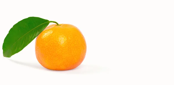 Tangerine med grönt blad — Stockfoto