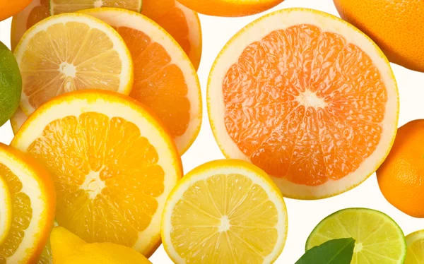 Citrusfrukter på vit — Stockfoto