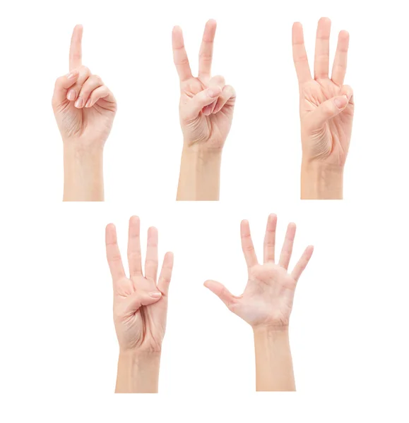 Counting woman hands — Stock Photo, Image