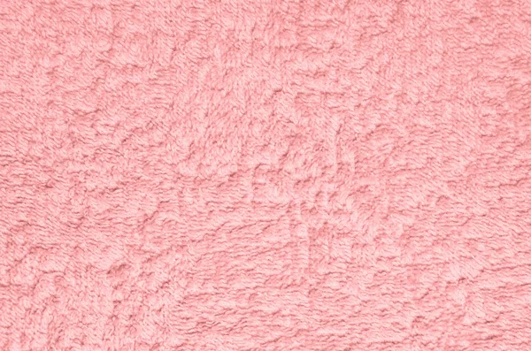 Ovejas de lana rosa — Foto de Stock