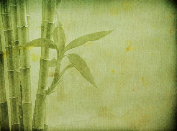 Natural bamboo background — Stock Photo, Image