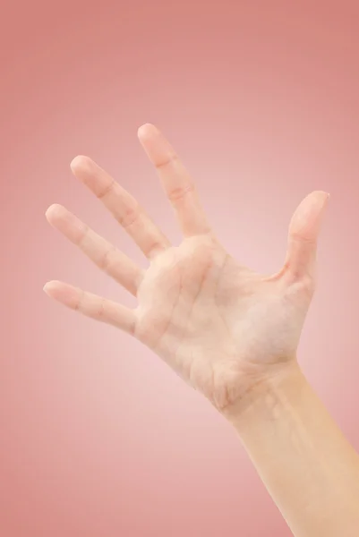 Open woman hand or number five — Stock Photo, Image