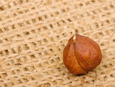 çuval bezi zemin üzerine fındık