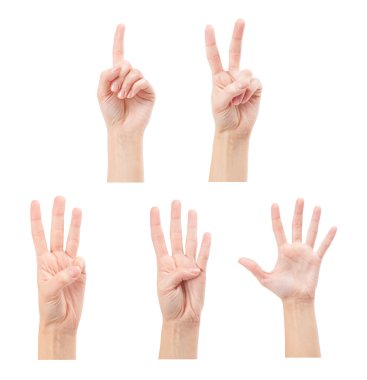 Counting woman hands clipart