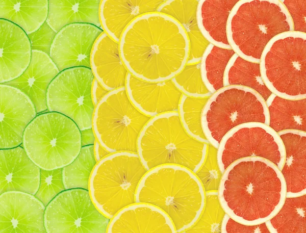 Background of citrus slices — Stock Photo, Image