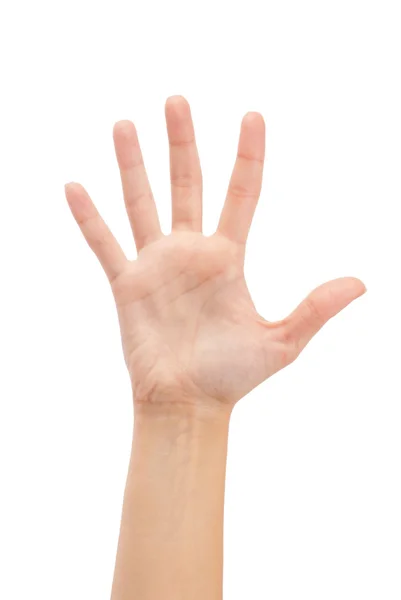 Öppna kvinna hand eller nummer fem — Stockfoto
