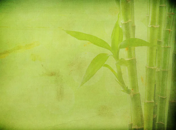 Latar belakang bambu dengan ruang fotokopi — Stok Foto