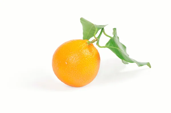 Mandarin med gröna blad — Stockfoto