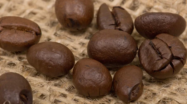 Koffie bonen op zak — Stockfoto